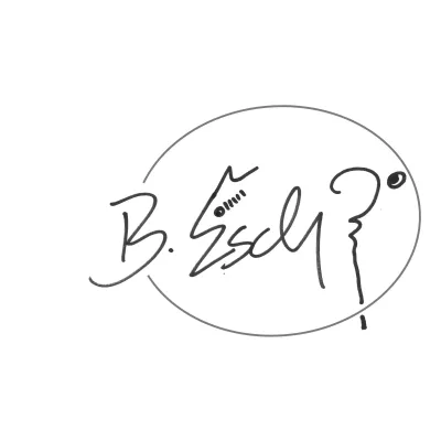 brianesch.com logo