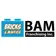 Bricks & Minifigs logo