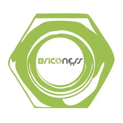 Briconess logo