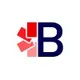 Bridge logo