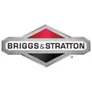 Logo Briggs & Stratton