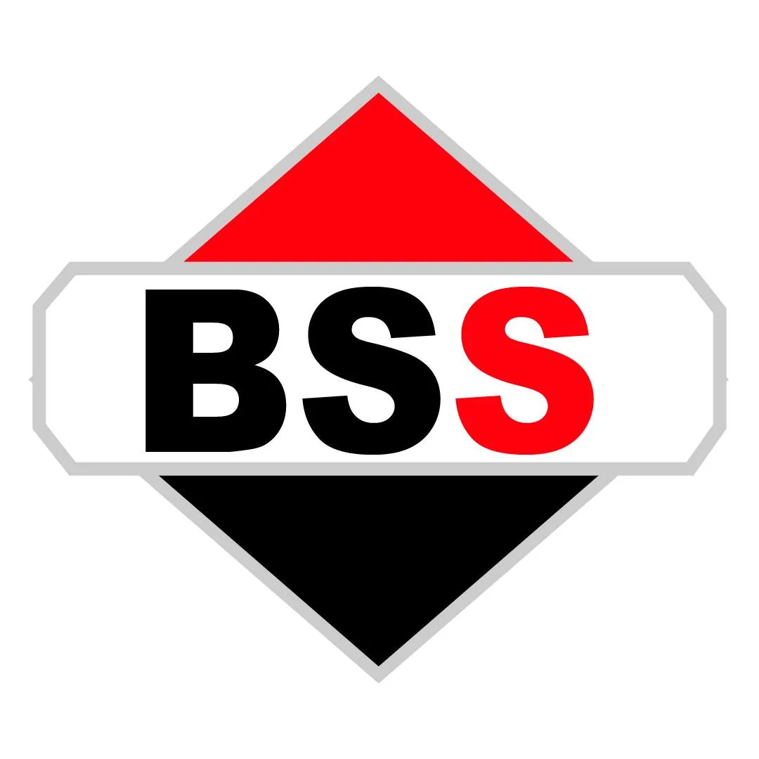 Briggsstrattonstore