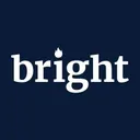 BrightData logo