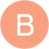 Brightech logo