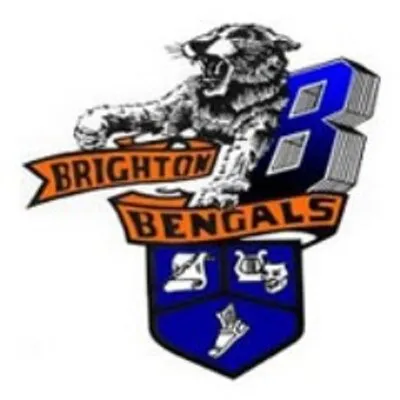 company_logo