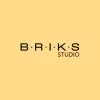 BRIKS STUDIO – Physiotherapie & Personal Training 