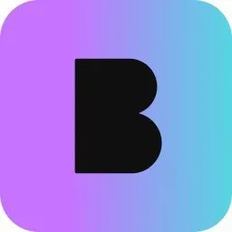 Brine Fi logo