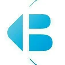 Bringle Excellence logo