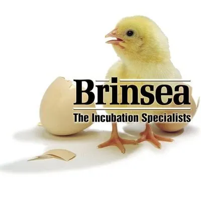 Brinsea