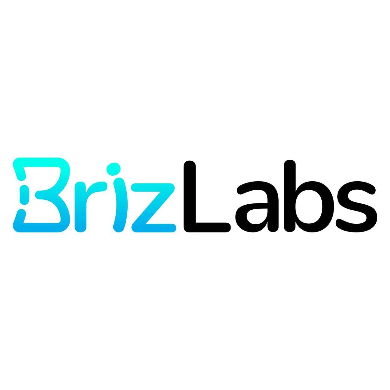 Brizlabs