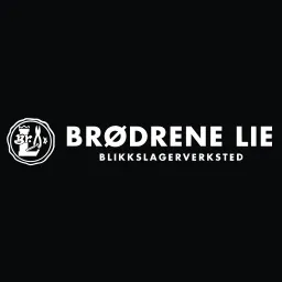 br-drene-lie-as-logo-brand-assets-svg-png-and-vector-brandfetch