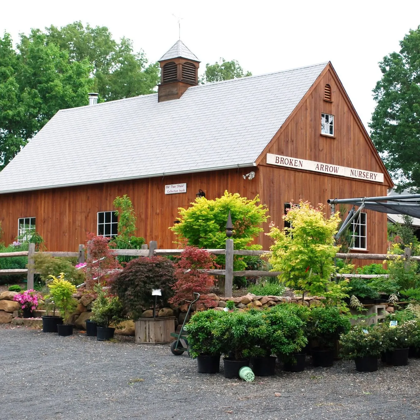 Brokenarrownursery