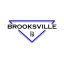 Brooksville Pharmaceuticals