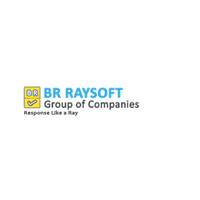 BR Raysoft Global Private Limited logo