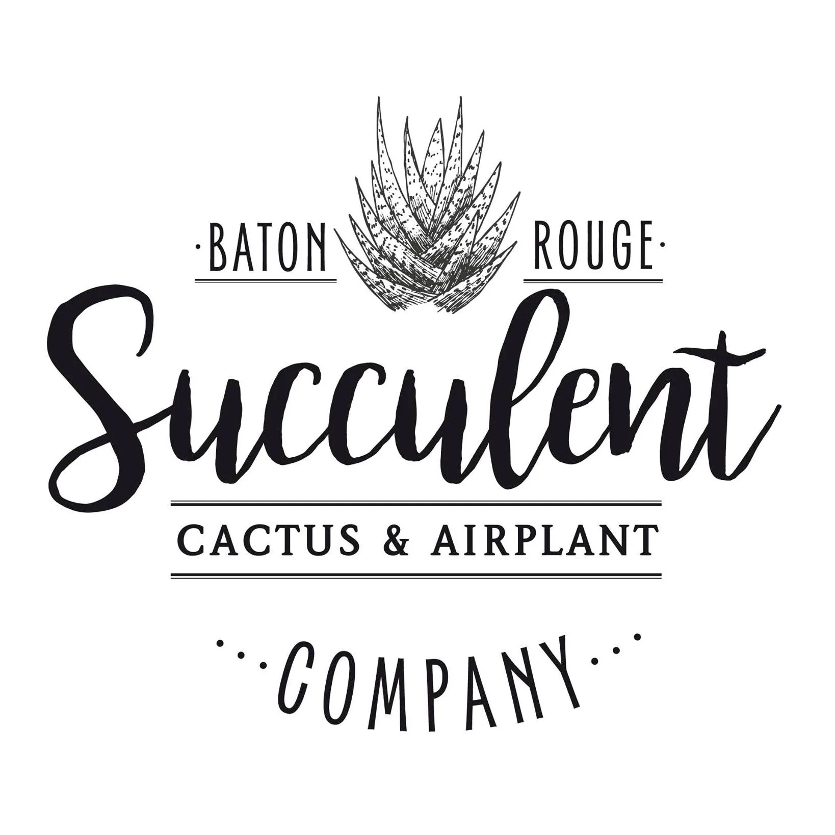 Brsucculentco