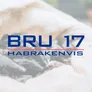 Logo BRU 17