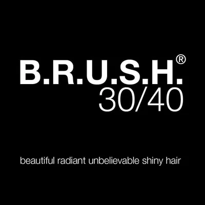 BRUSH 3040 logo