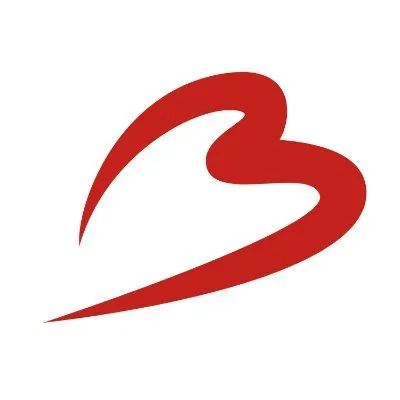 Brussels Airport logo