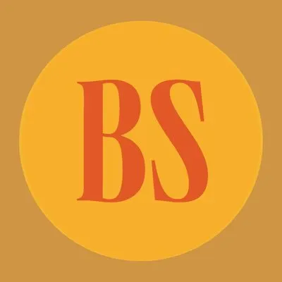 bsgeneralstore.com logo