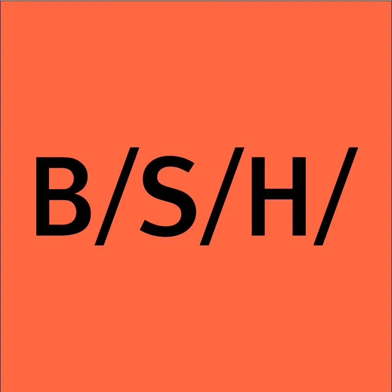 BSH Hausgeräte-company-logo