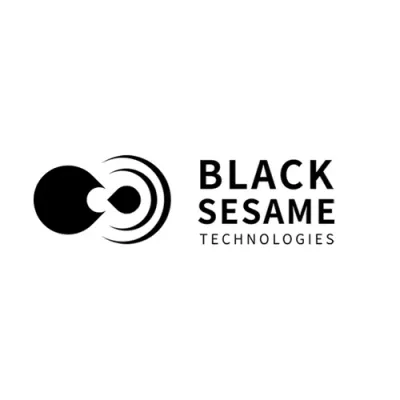 Black Sesame Technologies Inc