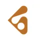 Blackstone Technology Group logo