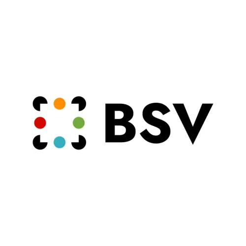 BSV Ventures logo