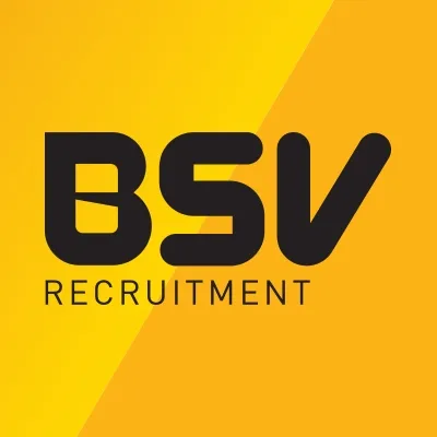 BSV Recruitment Ltd logo