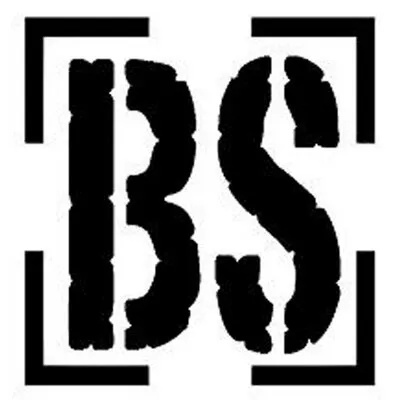 BS The Board Shop (bswake)