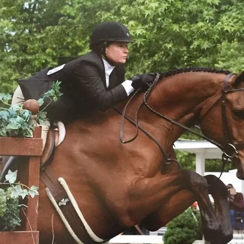 Buckscountysaddlery