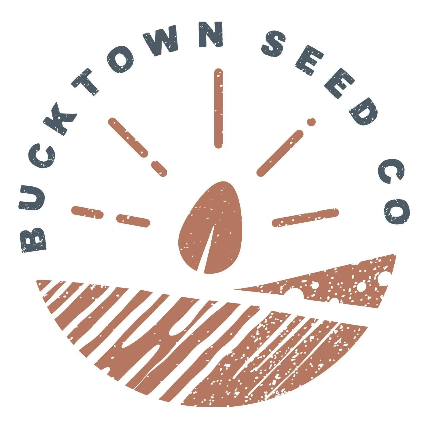Bucktownseed