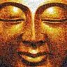 Buddha Power Store logo