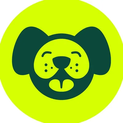 buddyrider.com logo