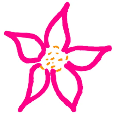 Budsnbloom