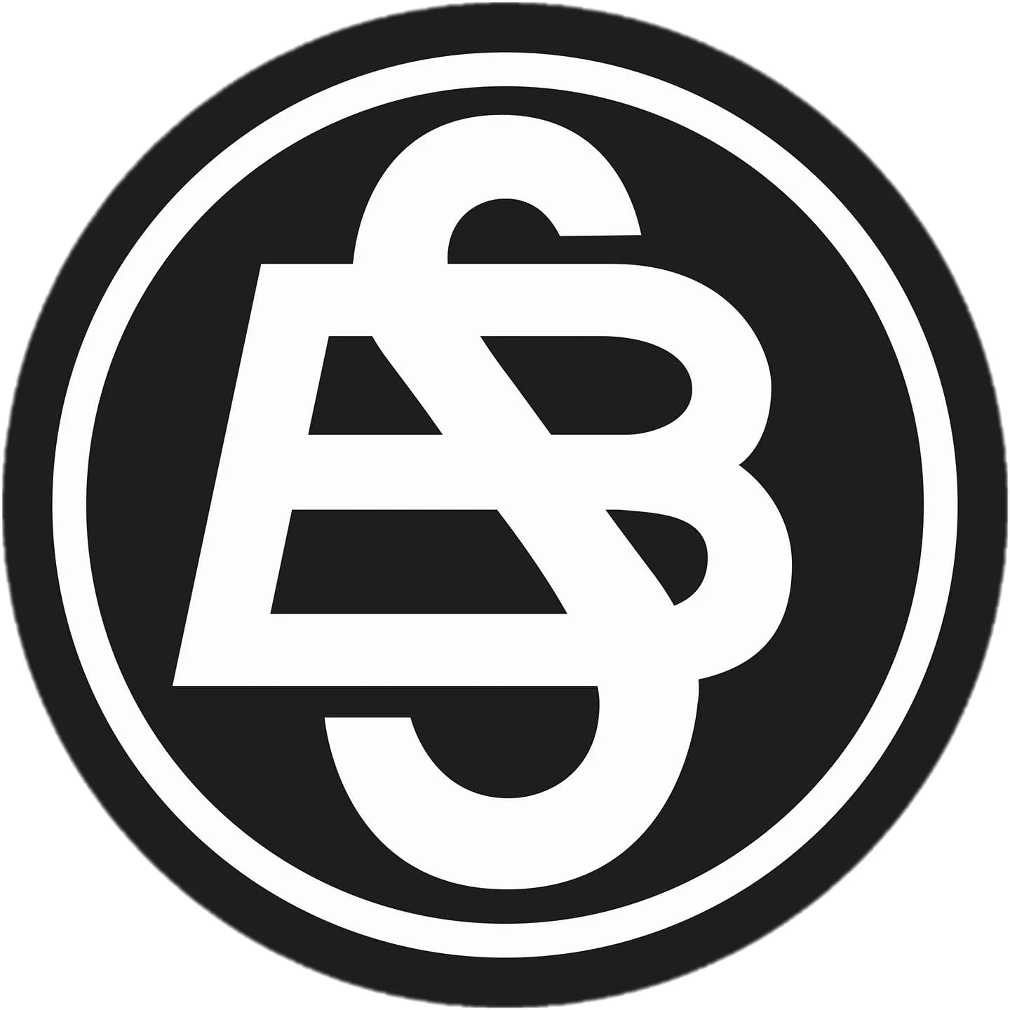 Bürkle + Schöck Elektro-Anlagen GmbH logo