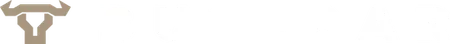 BULLBAR light logo