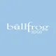 Bullfrog Spas