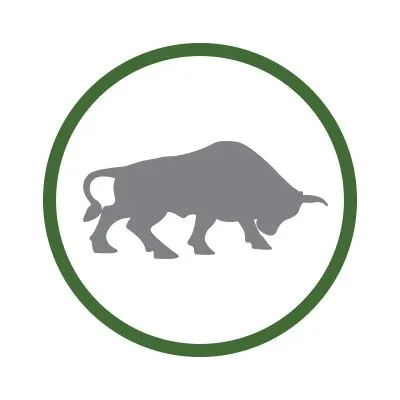 Bull Market Capital logo