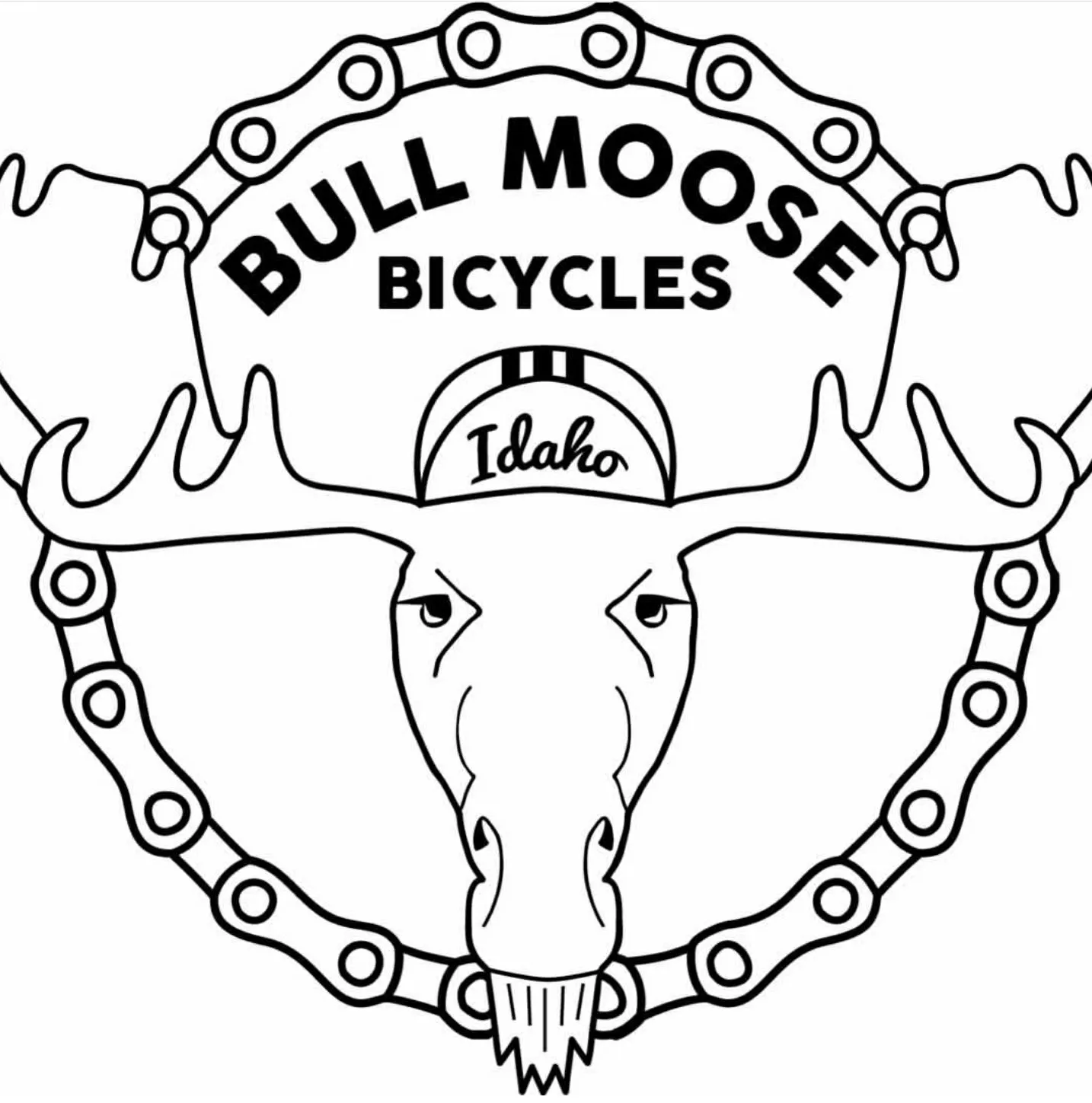 Bull Moose Bicycles