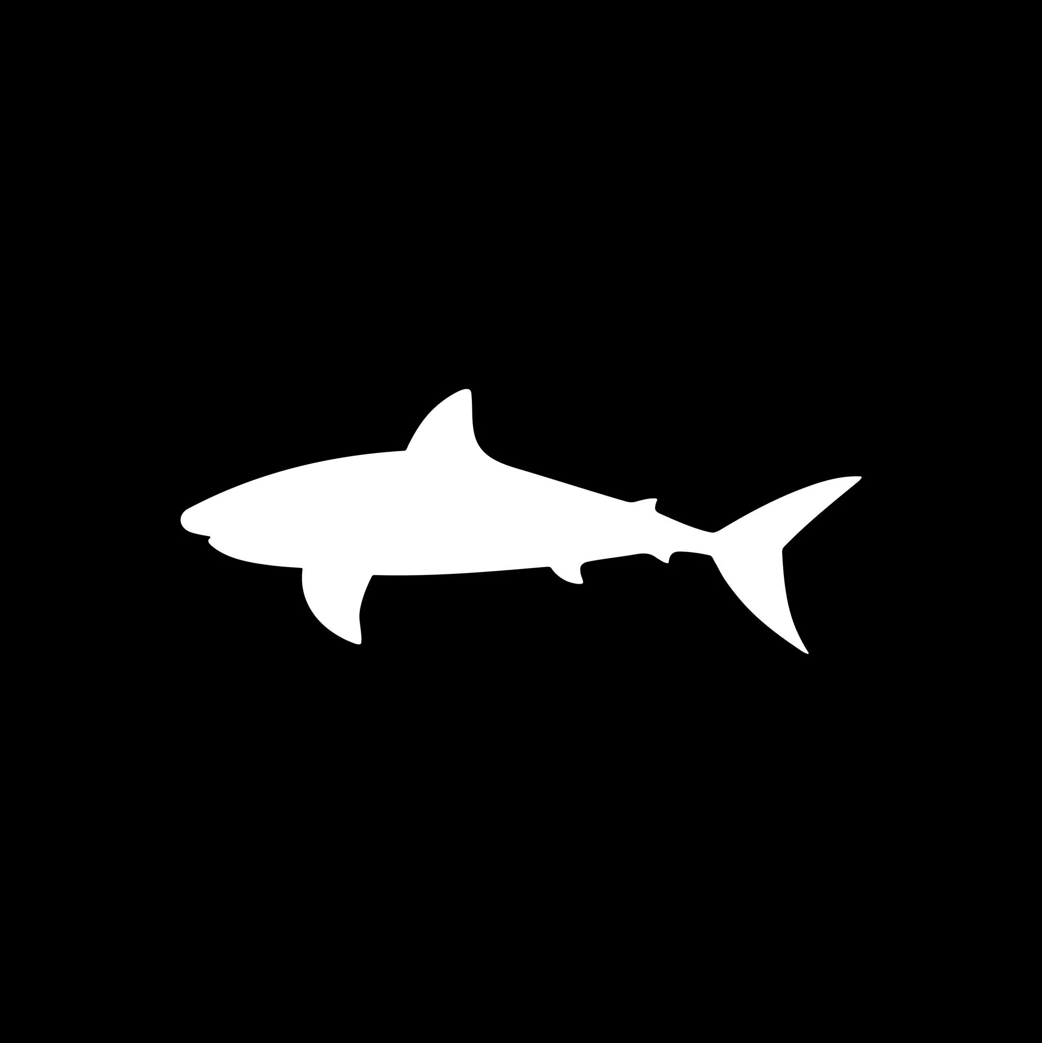 Bullshark logo/icon