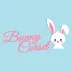Bunny Corset logo
