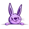 Bunnyhopkinstoys logo