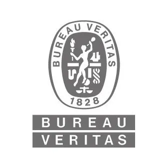 Bureau Veritas-company-logo