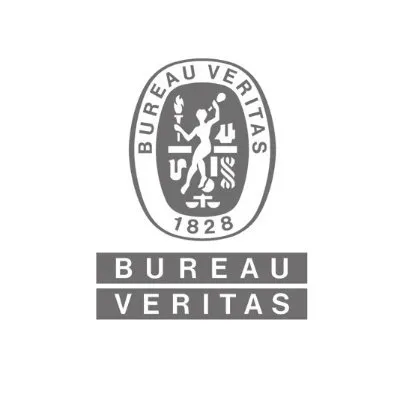 Bureau Veritas France-company-logo