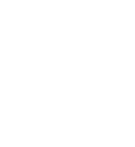 Burton Snowboards US light logo