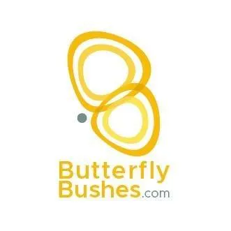 Butterflybushes