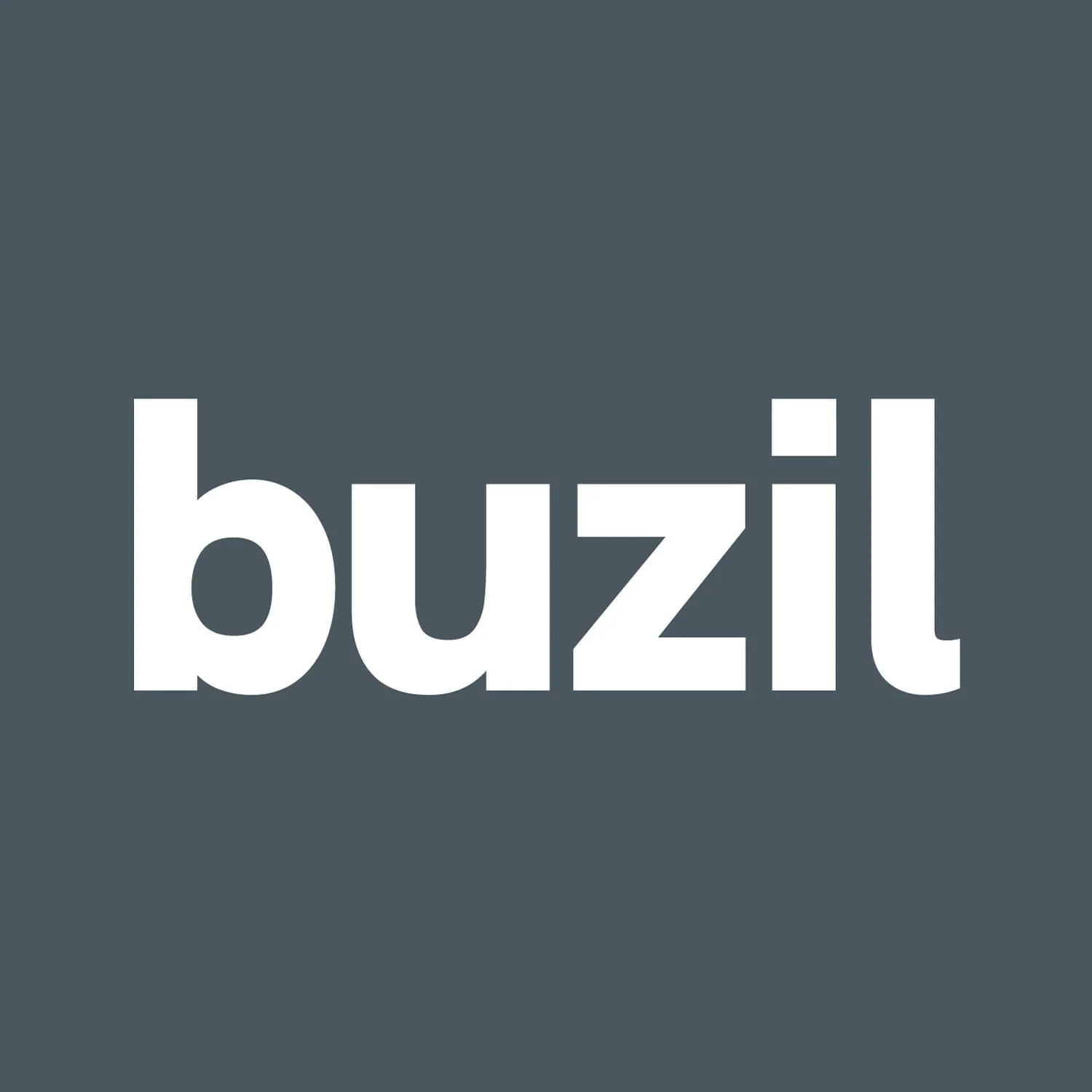 BUZIL-WERK Wagner GmbH & Co. KG logo