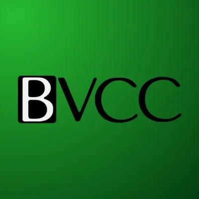 Black Venture Capital Consortium logo