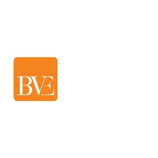 BVE SFIT INVESTORS LLC logo