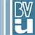 Beaver Valley Intermediate Unit Logo